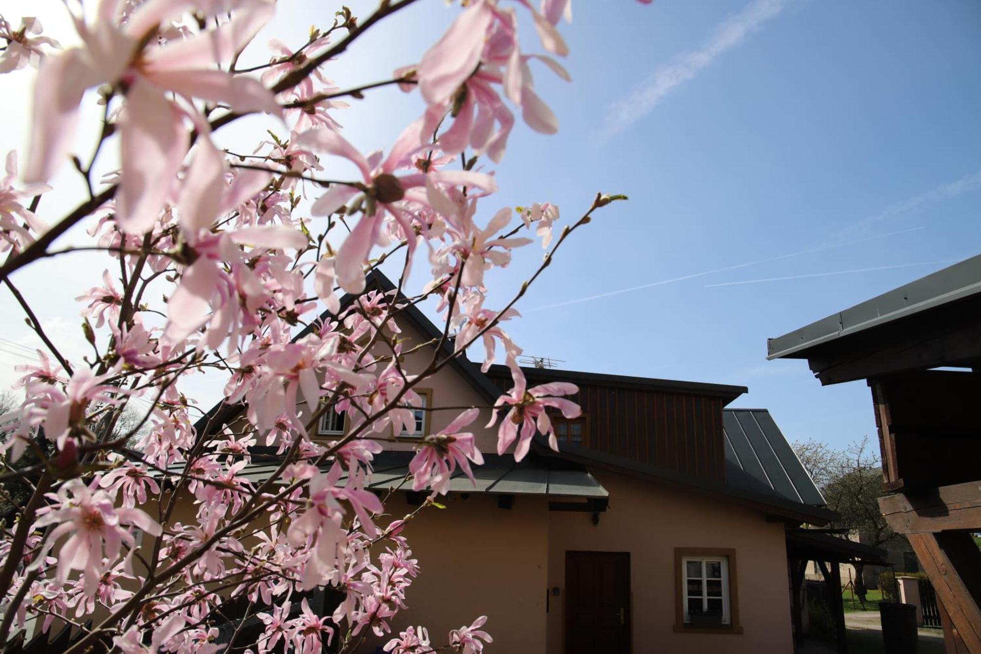 Country house Krkonosska Chaloupka