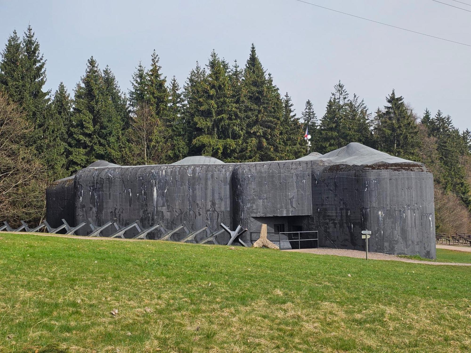 Krkonosska Chaloupka Country house